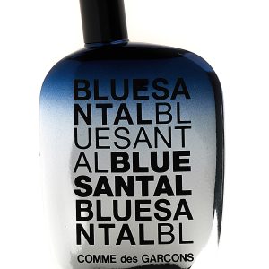 'Blu santal' perfume 100 ml