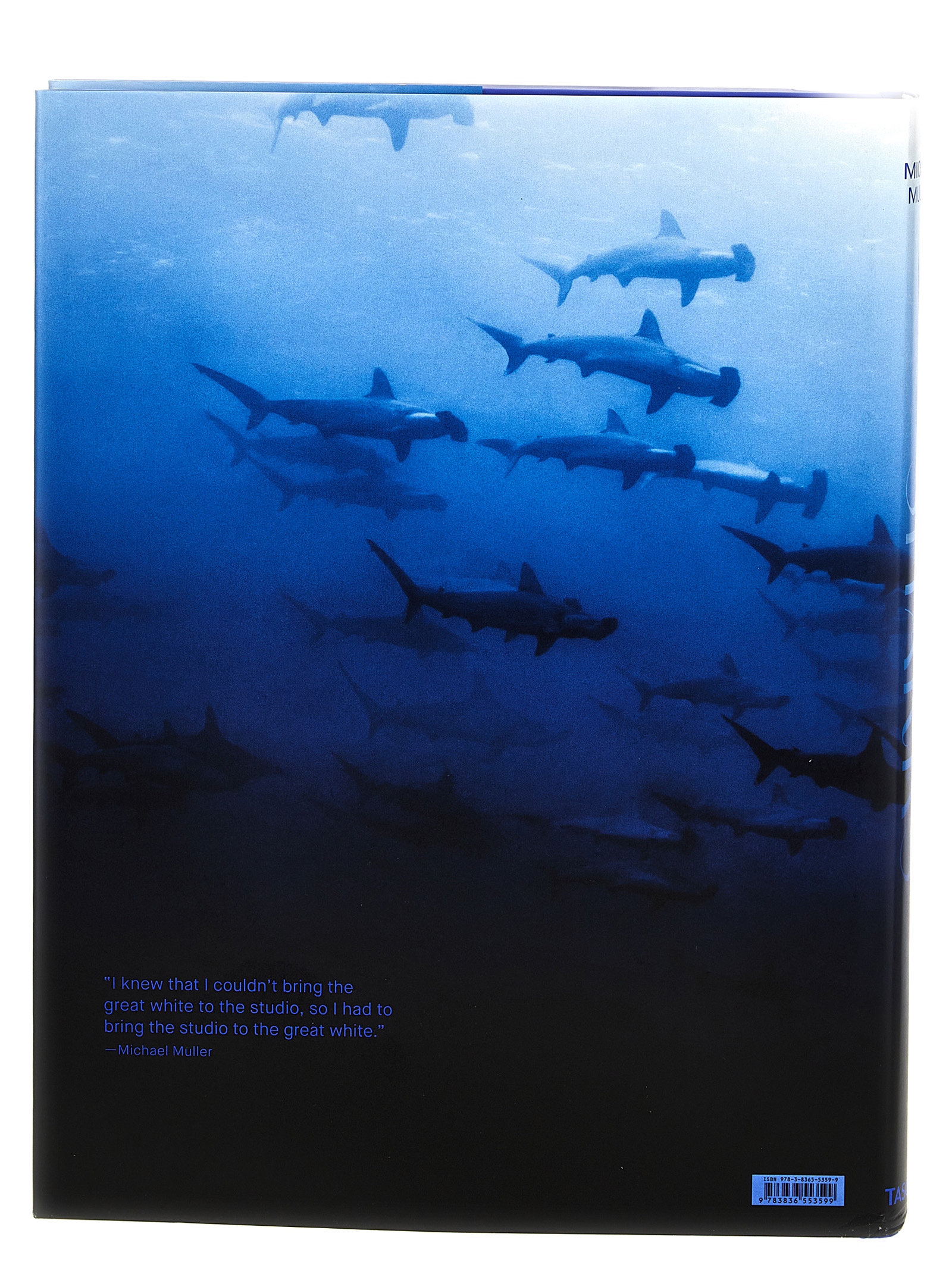 'Michael Muller. Sharks' book - immagine 2