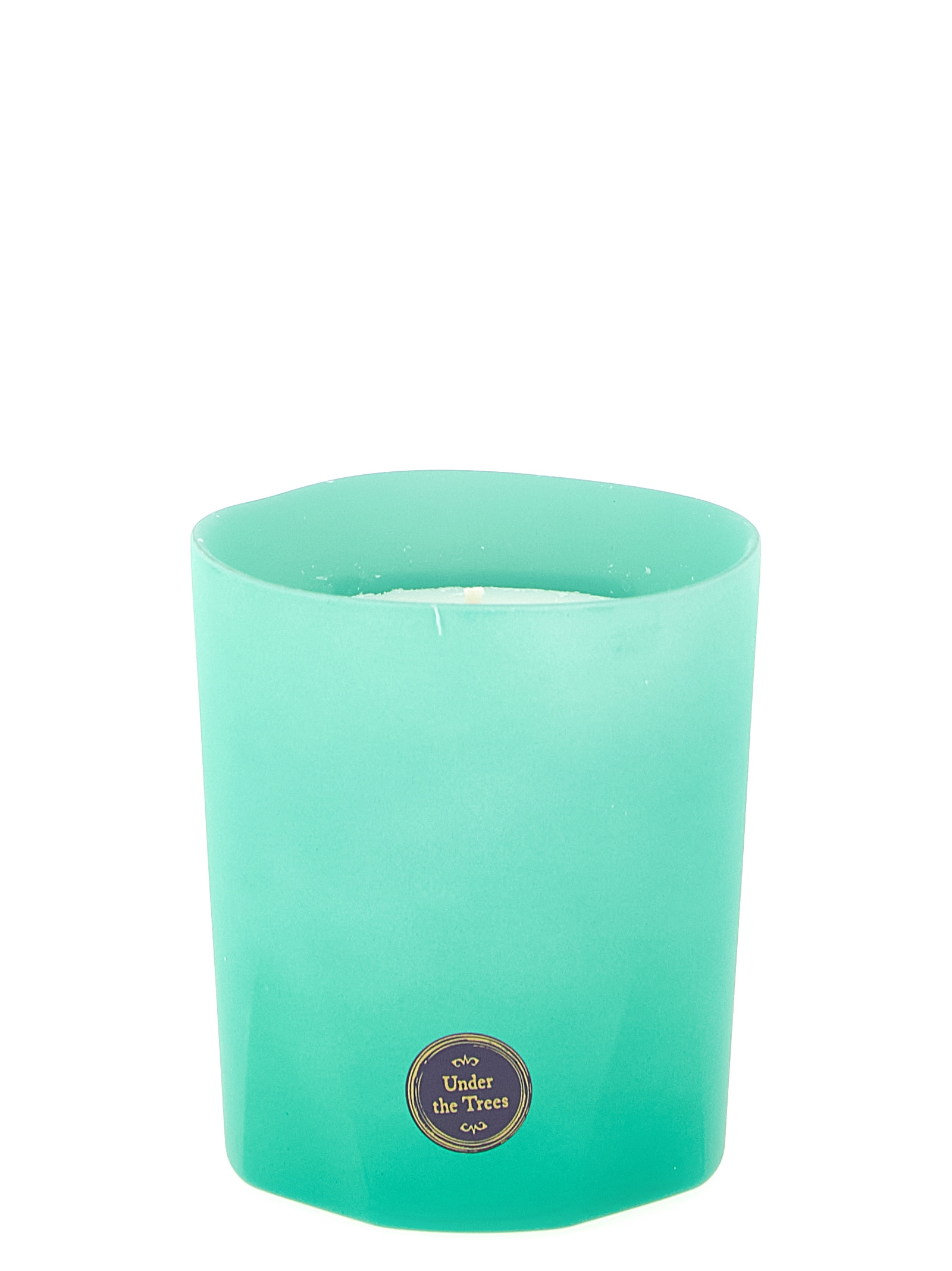'Summer Haze' candle 270 gr - immagine 2