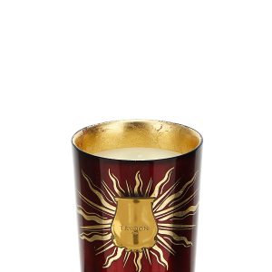 'GLORIA Wood and spices' candle 270 gr