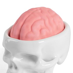 'Brainwash' soap dish