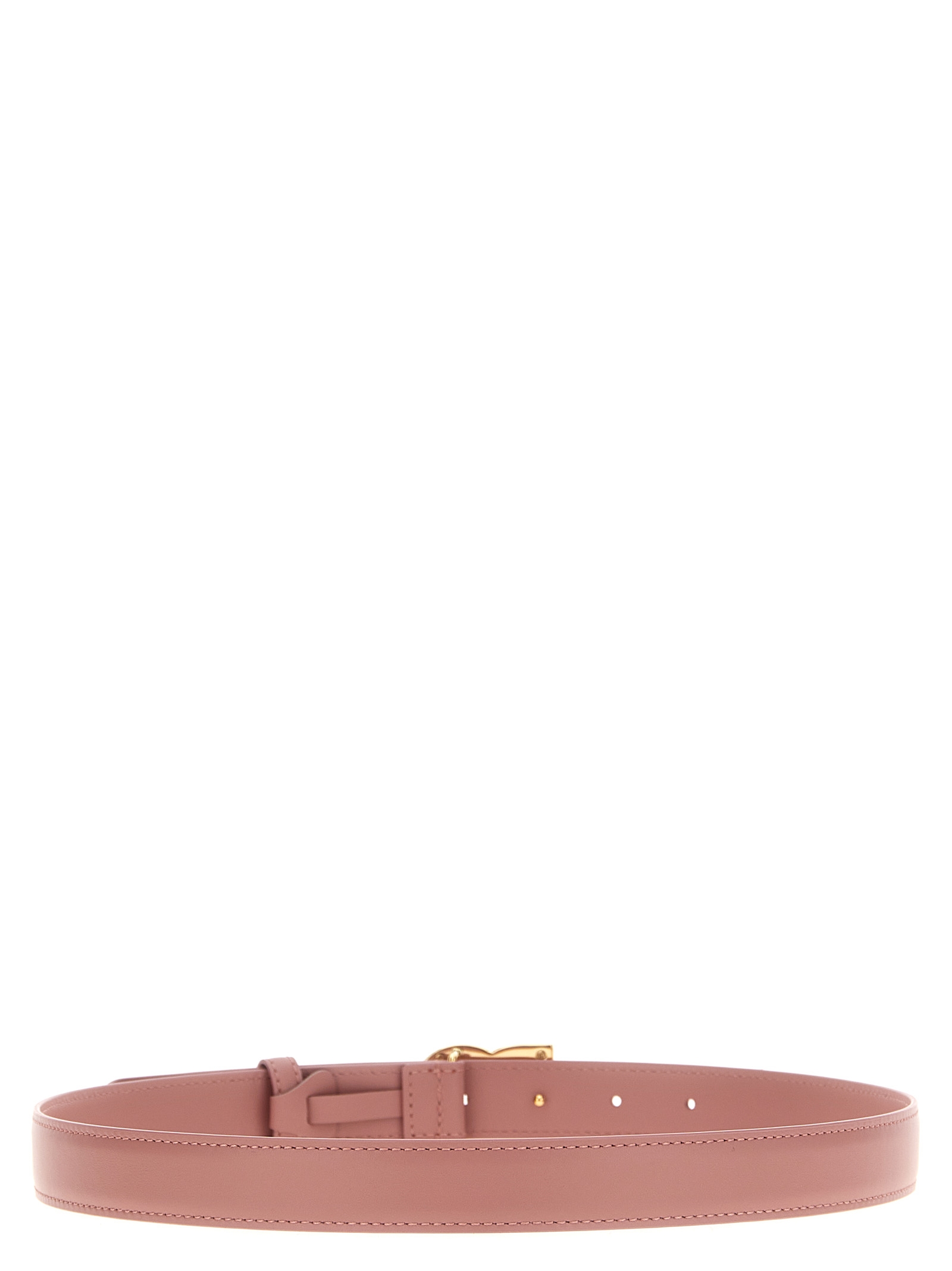 Logo belt - immagine 2