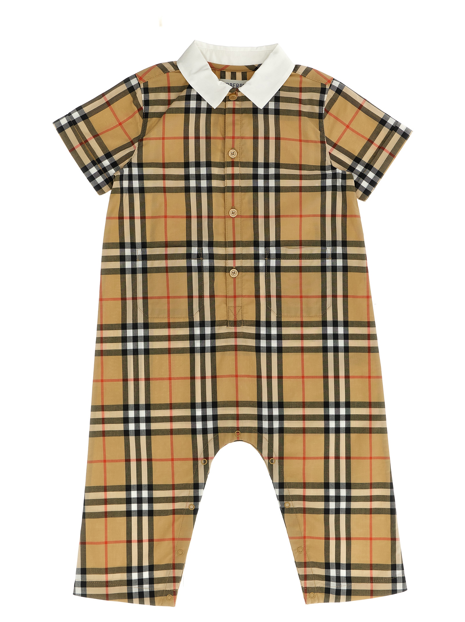 Pagliaccetto 'Andreas'