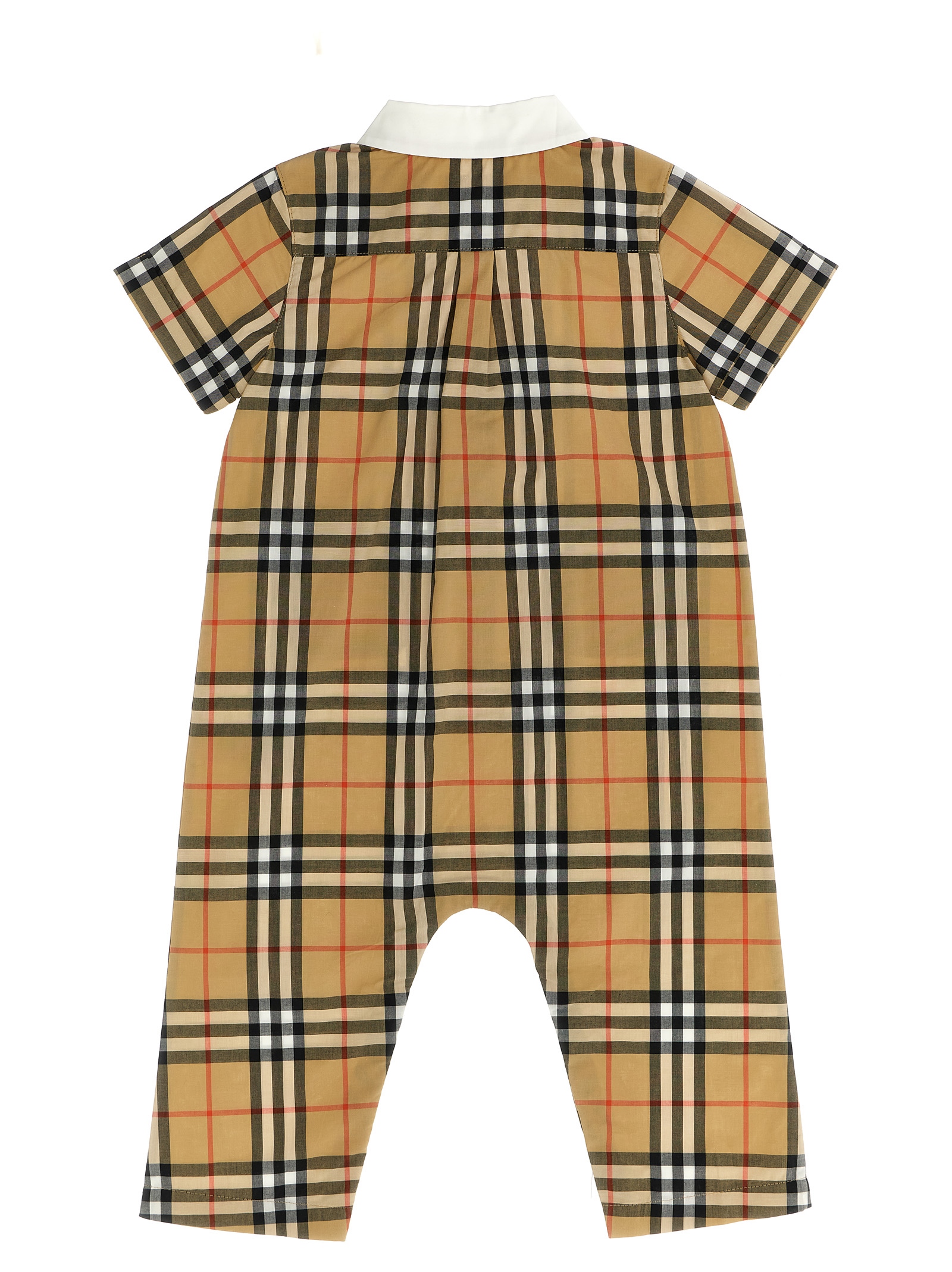 Pagliaccetto 'Andreas' - immagine 2