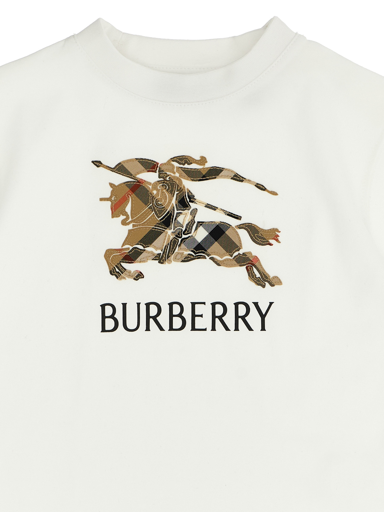 'Cedar' T-shirt - immagine 3