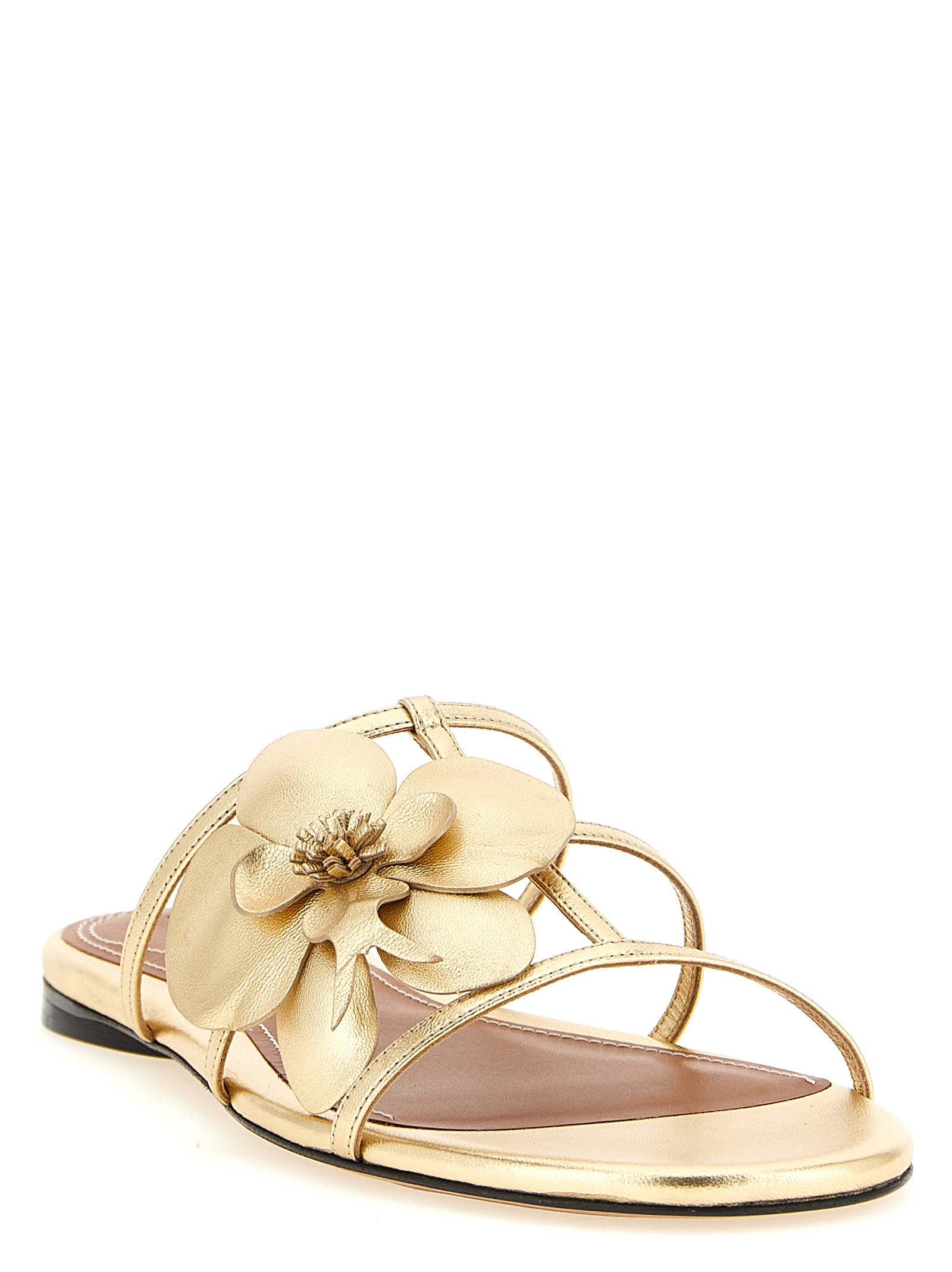 'Orchid' slides - immagine 3