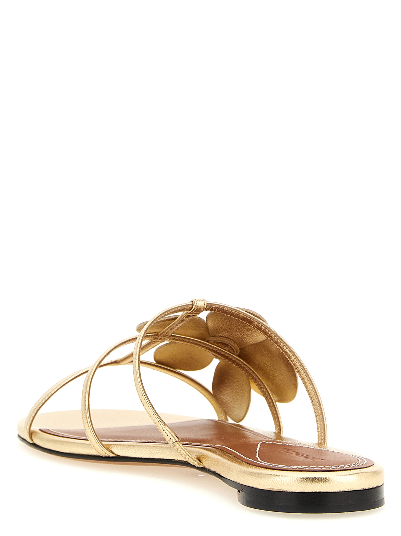 'Orchid' slides - immagine 4