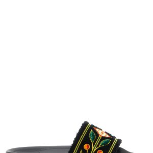 'Laurel Terry' slides