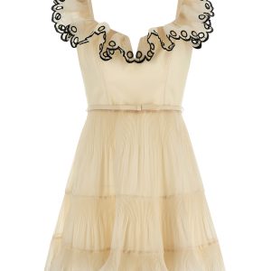 'Embroidered Frilled Mini' dress