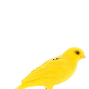 'Canary' clutch
